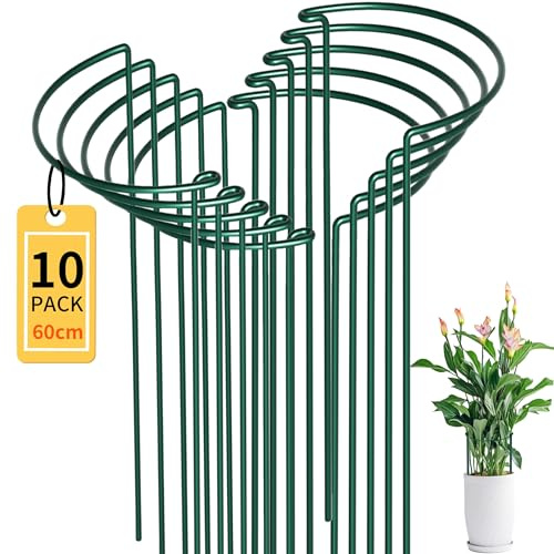 10 Stück Halbrund Pflanzenstützen 25x60cm,4mm Stahldraht Pflanzenhalter | Staudenhalter ideal für Pfingstrosen, Hortensien, Rosen und Dahlien ,Grüne Windschutz Gartenstütze
