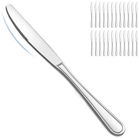 BEWOS 24-Piece Dinner Knives, 8.9-Inch Dinner Knife Set, Butter Knife, Food Grade Stainless Steel, Sharp knives Bulk, Mirror Polished Table knives, Silver Knife