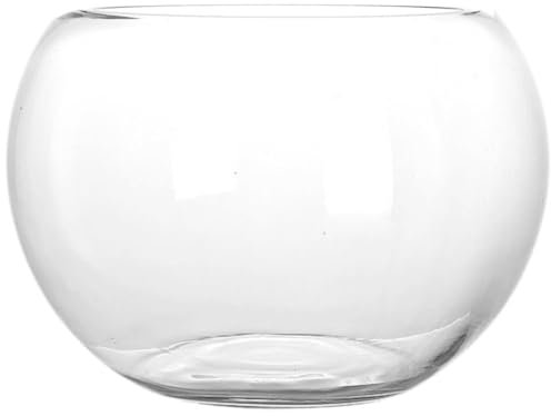 POPETPOP Fischbecken aus Glas Pflanzenterrarienvase kleines Aquarium Betta-Aquarium Bürodekoration Multifunktionales Goldfischbecken dekoratives Aquariumbecken Anlage Goldfischglas Muschel