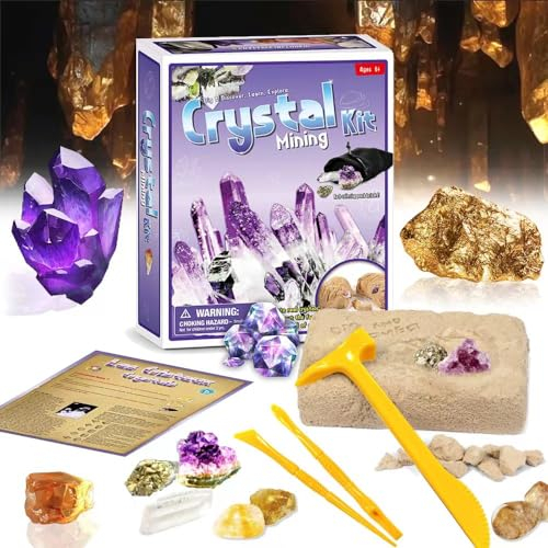Kit Scavo Minerali,Set di Scavi per Bambini, con 5 Pietre Geologiche, Gemma per Scavare, Gioco di Archeologia, Kit di Scavo per Bambini dai 6 +, kit Gem Dig