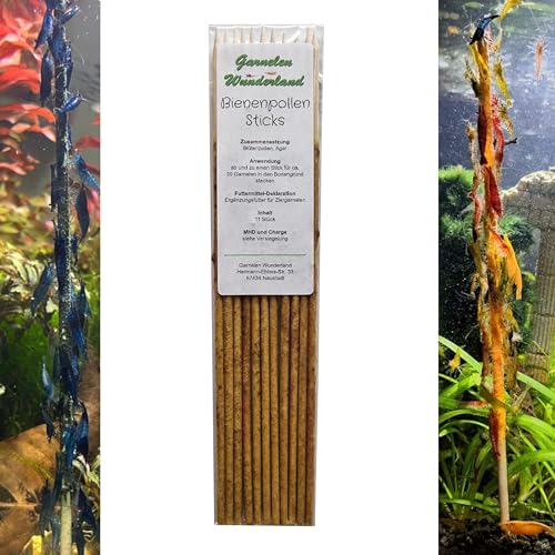 Garnelen Wunderland Shrimp Sticks Bienepollen (11 Stück) / Futter Lollies Garnelen Lutscher
