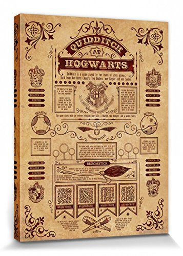 Harry Potter 1art1 Poster Quidditch In Hogwarts Bilder Leinwand-Bild Auf Keilrahmen | XXL-Wandbild Poster Kunstdruck Als Leinwandbild 80x60 cm