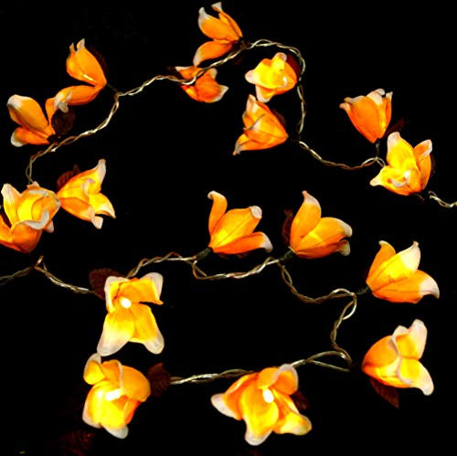 GURU SHOP Exotische Blüten LED Lichterkette Chiang Mai 20 Stk - Blüte Orange/weiß, 6x6x350 cm