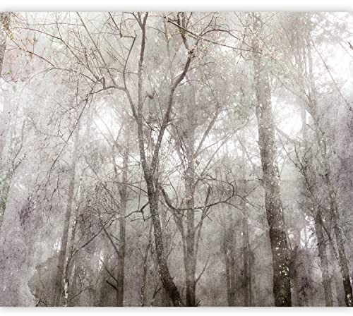 murando - Vlies Fototapete Bäume 350x256cm Foto Tapete Schlafzimmer Wohnzimmer Vliestapete XXL Wandtapete Motivtapeten Bildtapete 3d Effekt Wand Dekoration - Wald Landschaft Abstrakt grau b-C-0996-a-a