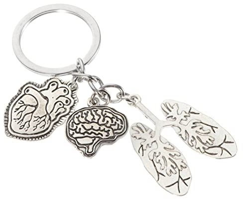 PRETYZOOM Arztgeschenke Keychain Heart Schlüsselanhänger Anatomisches Herz Keychain Gehirnlappen Charme Schlüsselanhänger Arzt Pflege Student Praktizierende