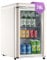 DRIXNO Retro Kühlschrank Getränkekühlschrank 78L mit Chromleiste, Klein Kühlschrank mit Glastür Eingebautes LED-Licht, Verstellbare Einlegeböden, 43dB leiser Betrieb, Geeignet für Haus, Büro, Beige