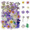 Getrocknete Blüten,Kaluofan Natürliche Getrocknete Blumen,Dried Flowers, Getrocknete Blumen für DIY-Schmuck, Gemischte Getrocknet Trockenblumen Deko für Kunst Basteln DIY Harz Scrapbooking Lesezeichen