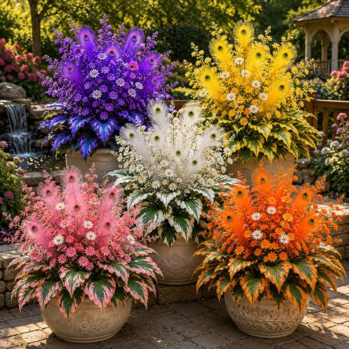Sehr Exklusiv-Hochwertige Geschenke-Ideale Regenbogen Hosta-Schnell-Wachsend-Super Kollektion-15zwiebeln-c