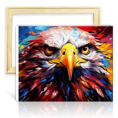 LiHEQING Malset zur Wanddekoration, Fantasy-Adler-Gemälde, Malset für Erwachsene für Eltern-Kind-Zeit, mit Rahmen (30 x 40 cm)