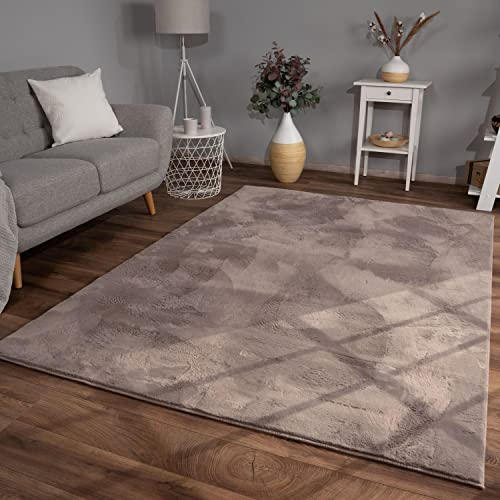 TT Home Wohnzimmer Teppich Hochflor Langflor Kunstfell Weich Modern Unifarben Flauschig, Farbe: Beige Taupe, Größe:160x220 cm