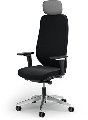 Ergotopia MasterBack Executive ergonomischer Bürostuhl [TESTSIEGER] – Schreibtischstuhl ergonomisch mit 3D-Neigungsmechanik & 5D-Armlehnen – Perfekt als Drehstuhl für Büro & Home Office