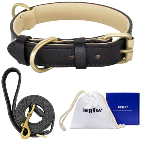 Tagfur Leder Hundehalsband und Leine Set, Gepolstert und Verstellbar für Kleine Mittlere Große Hunde, Nicht Leicht zu Brechen (Schwarz, L)