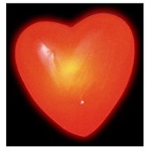 Coeur Sur Broche Lumineux/clignotant Avec Pile