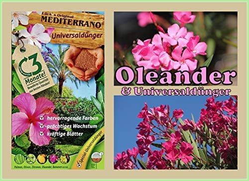 Mediterrano Oleanderdünger – Spezialdünger für üppige Blüten & kräftige Pflanzen – Fördert Wachstum, Blattgrün & Blühfreude – Flüssigdünger für Oleander im Außenbereich. 10 KG