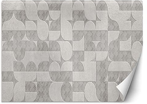Feeby Papier Peint Intisse Géométrie Abstraction 450x315 cm gris Décoration Murale Tableaux Poster Muraux Chambre Enfant Salon Salle Cuisine Coucherr Texture Motif