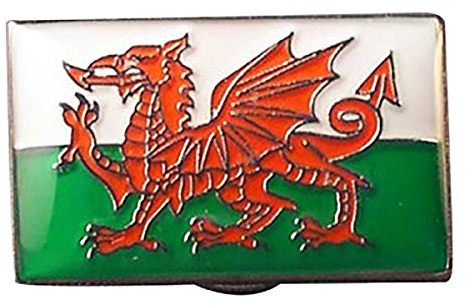 Wales, Welsh Flag Metal Enamelled Pin Badge Lapel Badge XJKB3-10