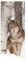 HYZSM Türtapete Selbstklebend 3D PVC wasserdichte Abnehmbare,Türaufkleber für Tür Deko Wohnzimmer/Schlafzimmer/Küche/Bad, Türposter-Wolf 77x200CM