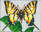 stickit Mini Stecksystem Segelfalter (Schmetterling) ca. 2.000 Teile Nr. 42196