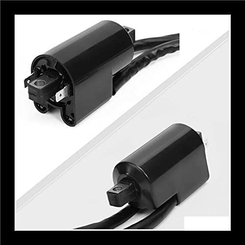 Teram Loisirs Zündspule, kompatibel mit Suzuki GSXR 750 von 1989 1990 1991 1992 1993 1994 1995