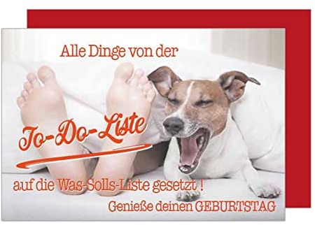 Edition Seidel Premium Geburtstagskarte mit Umschlag. Glückwunschkarte Grusskarte Billet Happy Birthday Mann Frau Geburtstag To-Do-Liste Hund Freunde Lustige Karte (G2277 SW023)