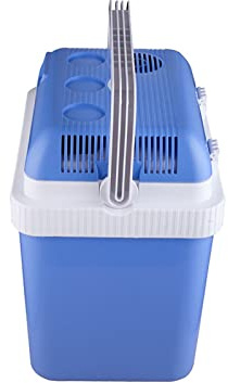 LRFVADW Mini Fridge Car Mini Fridge Home Auto Electric Refrigerator Protable Drink Cooler Heater for Camping Keep Food Warm