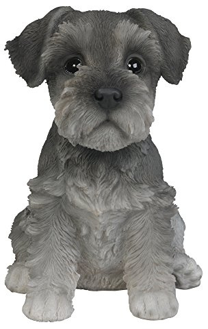 Pacific Giftware Hunde Figur Schnauzer Welpe - Baby Dekofigur Geschenk für Hundeliebhaber
