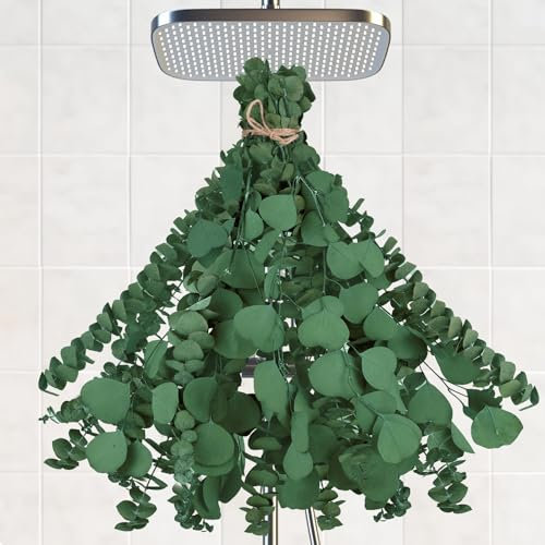 LAUMOE 16 Stück Eukalyptus Getrocknet, 43 cm Eucalyptus Getrocknet Trockenblumen Eukalyptus Deko Getrockneter Eukalyptus Zweige Echt für Vasenfüller