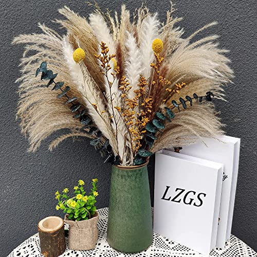 Pampasgras Getrocknet 60pcs Natürliche Trockenblumen Deko DIY Trockene Blüten Strauß,Pampasgras-Bouquet Schilfblume Deko Ideal for Boho Wohnzimmer-Schlafzimmer-und Vasen (LZGSGO-0105)