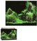 HZONGMINGZT Fish Tank Poster 3D Underwater World Wallpaper Backdrop Effect Aquarium Poster PVC Adhesive Aquarium Background Sticker Forest Ocean Background