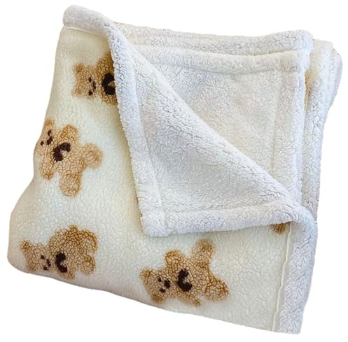 Teddybär-Decke, 28 x 39 Zoll, gemütlich, warm, dick, Überwurf, süßer Bär, wendbarer Überwurf für Sofa, Bett, Couch