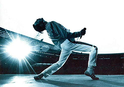 My Little Poster Post Sänger Freddy Mercury Queen-Legende Wall Art 02