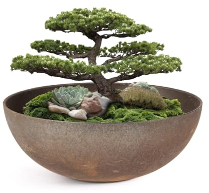 Matches21 - Maceta para exterior – gran cuenco decorativo en aspecto de óxido gris oscuro como macetero – Cuenco alto en 30 cm para jardín, balcón o cementerio como adorno para tumba