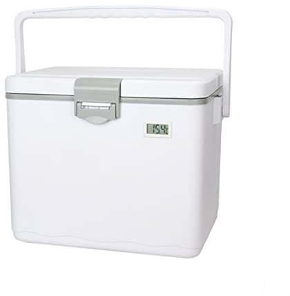 TZNBGO Nevera Portátil, Cool Box Nevera Rígida, Nevera Térmica para Frío y Calor, Refrigerador de Coche para Vehículos Coches Camping (Color : B, Size : 15L)