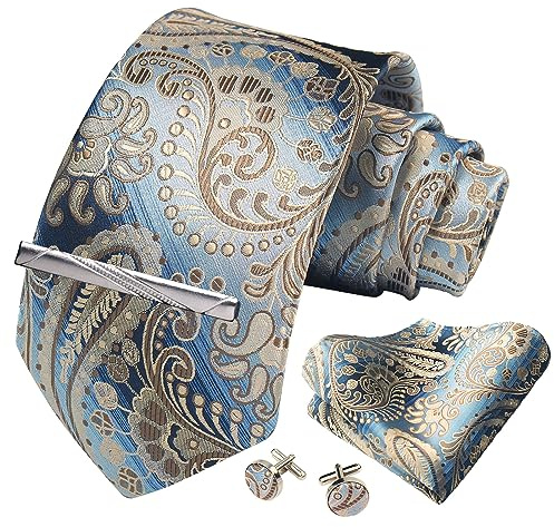 CWKOON Paisley Floral Mens Tie Formal Necktie Pocket Squares Ties Clips Cufflinks Classic for Men Gift Box Set