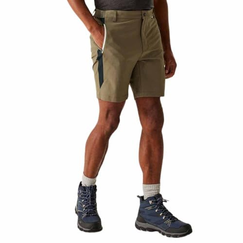 Regatta Mens Mountain II Shorts (32R) (Treetop/Black)