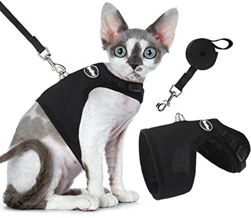 Katzengeschirr Geschirr f¨¹r Katzen ausbruchsicher Geschirr f¨¹r Katzen/kleine Hunde, Katzengeschirr mit Leinen Brustgeschirr Cat Harness Katzengarnitur ausbruchsicher verstellbar Katzenweste