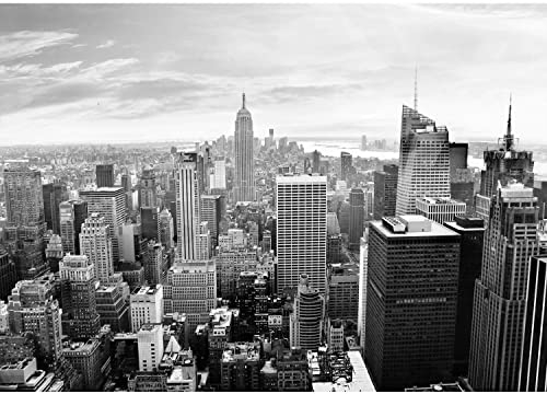 Runa Art Fototapete New York City Modern Vlies Wohnzimmer Schlafzimmer - Made in Germany - 308 x 220 cm Schwarz Weiss 9246010c