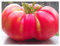 PREMIER SEEDS DIRECT - Tomato Seeds - Brandywine Pink (400 Seeds)
