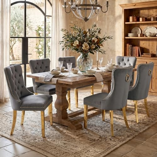 Esszimmerstühle mit gepolstertem Flügelrücken, grau und gold, 6er Set | Weicher Samtbezug, Tufting, Nietenbesatz, Rückenring, goldene Metallbeine. Ideal für Esszimmer, Wohnzimmer, Innendekoration.