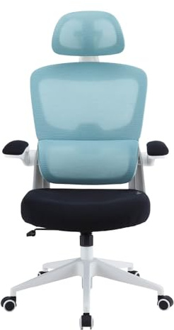 Woxter Ergo Blue - Silla ergonómica de Oficina (Eje Acero, Levantamiento por pistón, MallaTranspirable, Reposabrazos, Altura Ajustable)