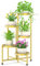 iDavosic.ly 5 Etagen Metall Pflanzenständer Blumentopfständer, Mehrstöckig Pflanzenregal Blumenregal Pflanzentreppen für Zimmerecke, Wohnzimmer, Balkon, Terrasse, Hof (Rund, Gold)