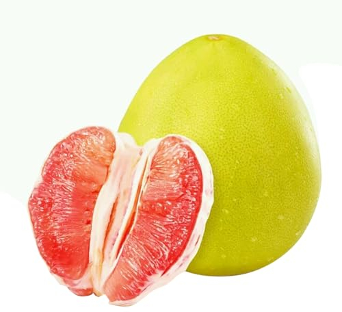 20 Stück Rote Pomelo Citrus Maxima Grapefruit Jabong Shaddock Obstbaum Pflanzensamen Gartensamen zum Pflanzen jetzt