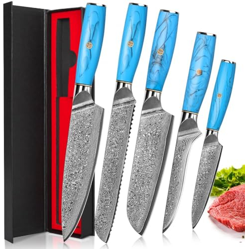 Home Safety 5 Pièces Ensemble de Couteaux de Cuisine, Set Couteau Cuisine Damas, 67 Couche Acier Couteaux Japonais,Inclure Couteau Cuisine,Couteau Pain,Couteau à Désosser