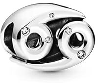 Anduonie Charms Anhänger Sternzeichen für Armband 925 Sterling Silber 12 Sternbilder Charms Beads kompatibel mit europäischen Armbändern und Halskette für Frauen