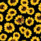 Sonnenblumen Outdoor Stoff,Meterware,Schmetterlingsgelber Blumen Polsterstoff für Stühle,Mädchen,Frauen,Blüten,Blumen,botanischer Dekorationsstoff für Heimwerkerprojekte,92x160cm,Schwarz Gelb