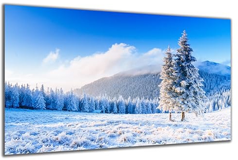 DARO Design - Wand-Bild auf 6mm HDF 56x84 cm Bäume Schnee Feld - Wand-Deko Bilder Geschenk