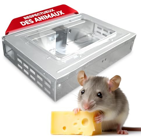 AXELMA® - Trampa para Ratónes Vivos Multi-Captura - Trampa par Ratónes sin Matar, Eficaz, en Metal, Seguro para Niños y Animales, Reutilizable, Ecológico para Interior y Exterior