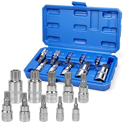 AFEPHE 10 Pièces Jeu de Douille XZN,Douille Torx Male 1/2'', 1/4'', 3/8'' M4 M5 M6 M8 M9 M10 M12 M14 M16 M18 - Pour Clés à Choc, Cliquets et Dévisseuses