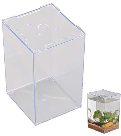 Acryl Aquarium Becken, Aquarium Fische Brutkasten, Acryl Terrarium Reptile Fütterungsbox für Fische und Schildkröte (12x13x19 cm)