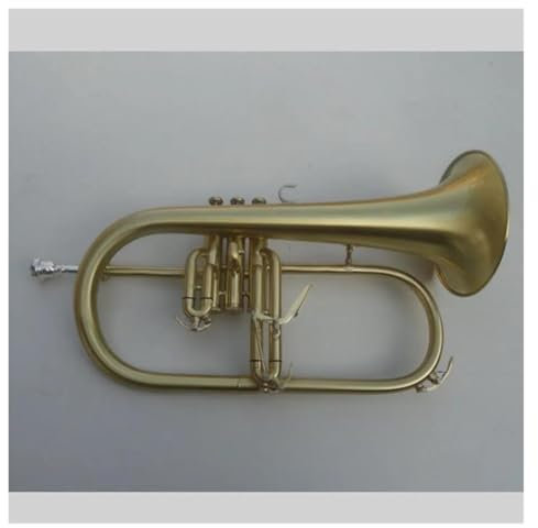 Flügelhorn Bb B-Flügelhorn Blechblasinstrument mit Hartschalenkoffer, Mundstück, Tuch und Handschuhen